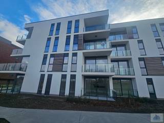 Appartement à louer à Brée