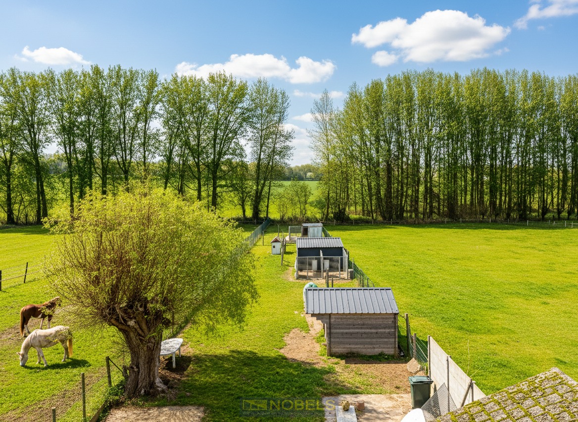 Te koop, grotendeels gerenoveerde woning met dieplopende tuin in Brakel - foto 2
