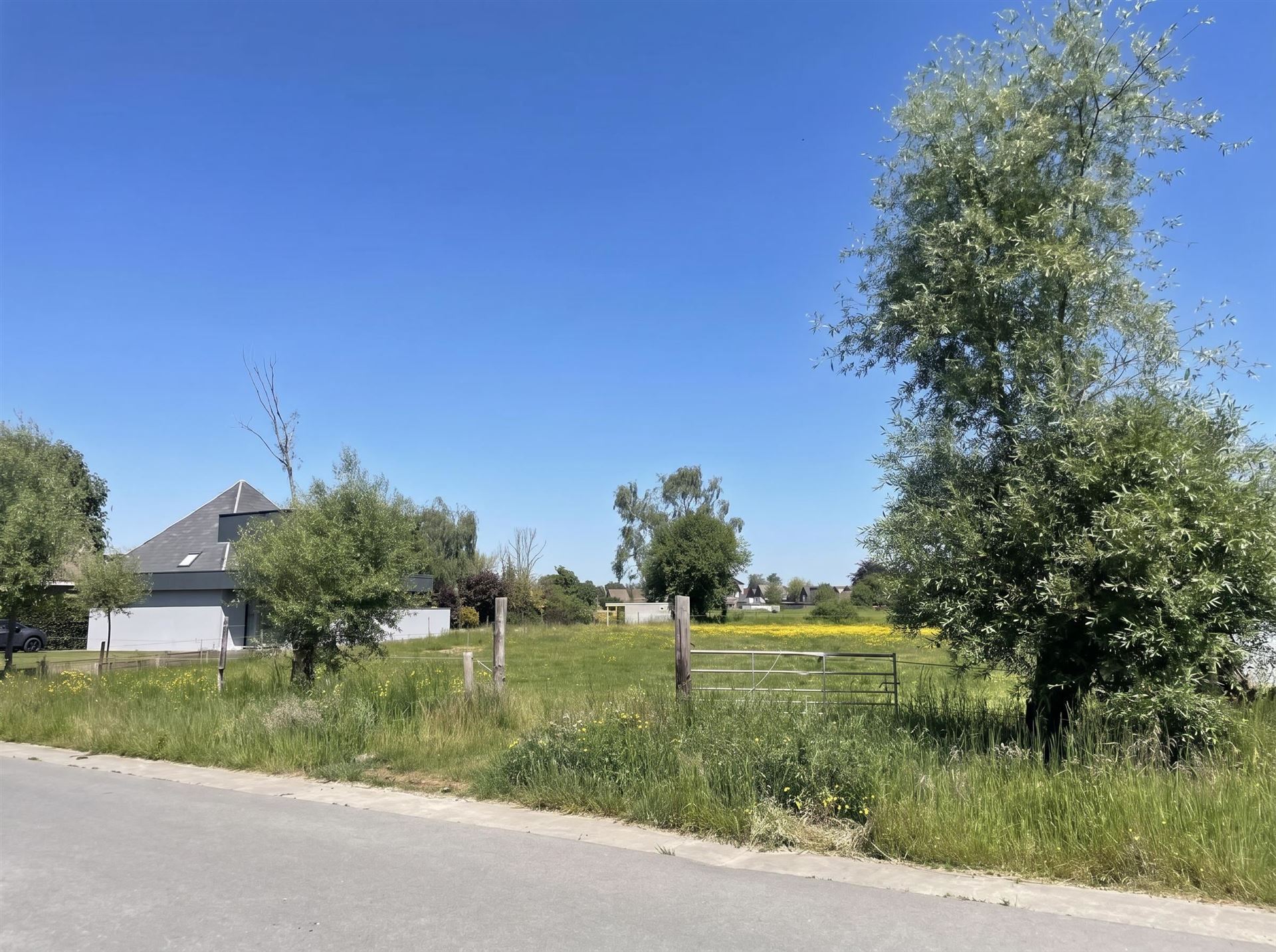 Land for sale in Blaasveld - photo 1