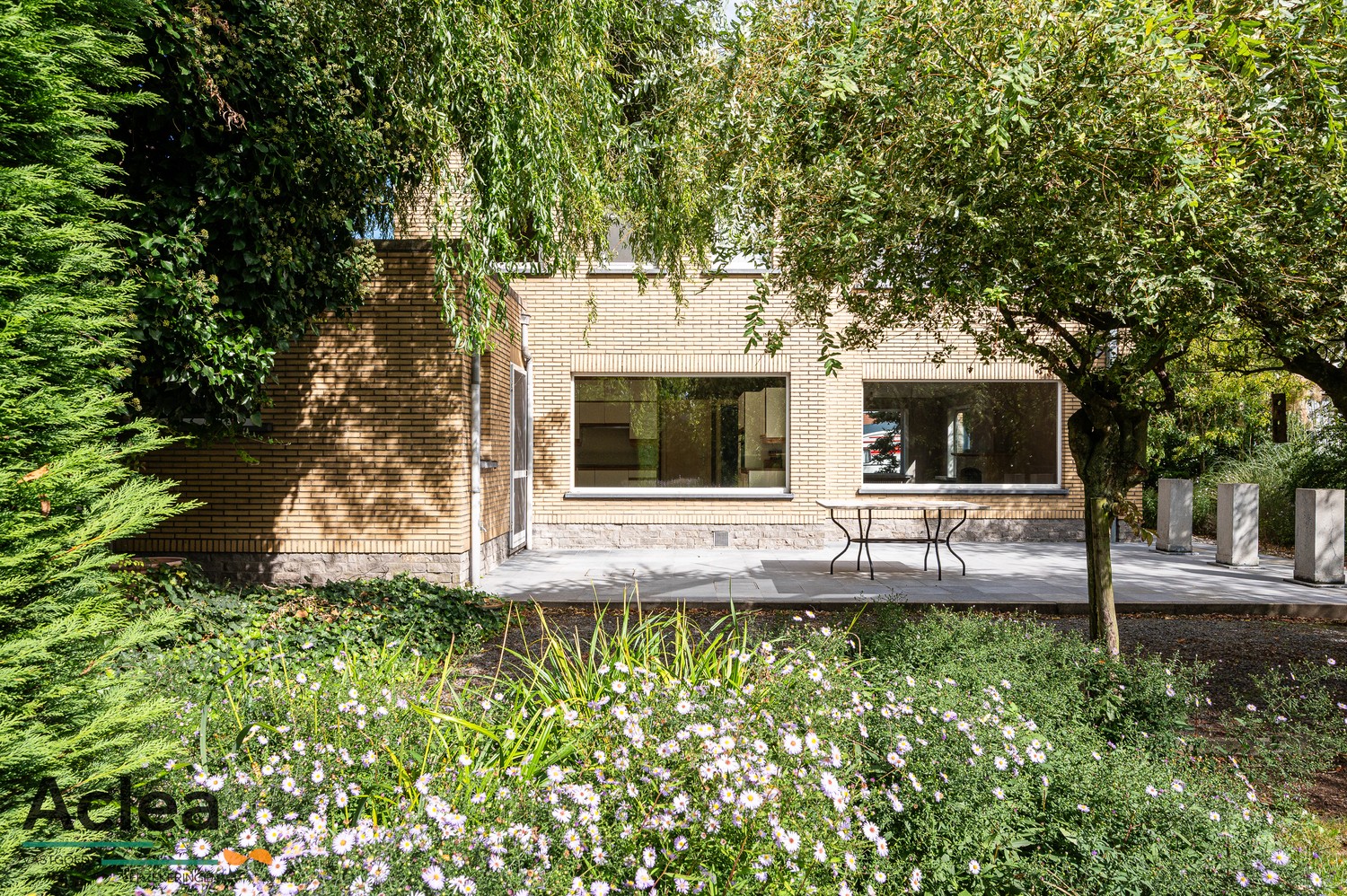 Ruime halfopen bebouwing met 5 slpks op strategische locatie in Zomergem - foto 2