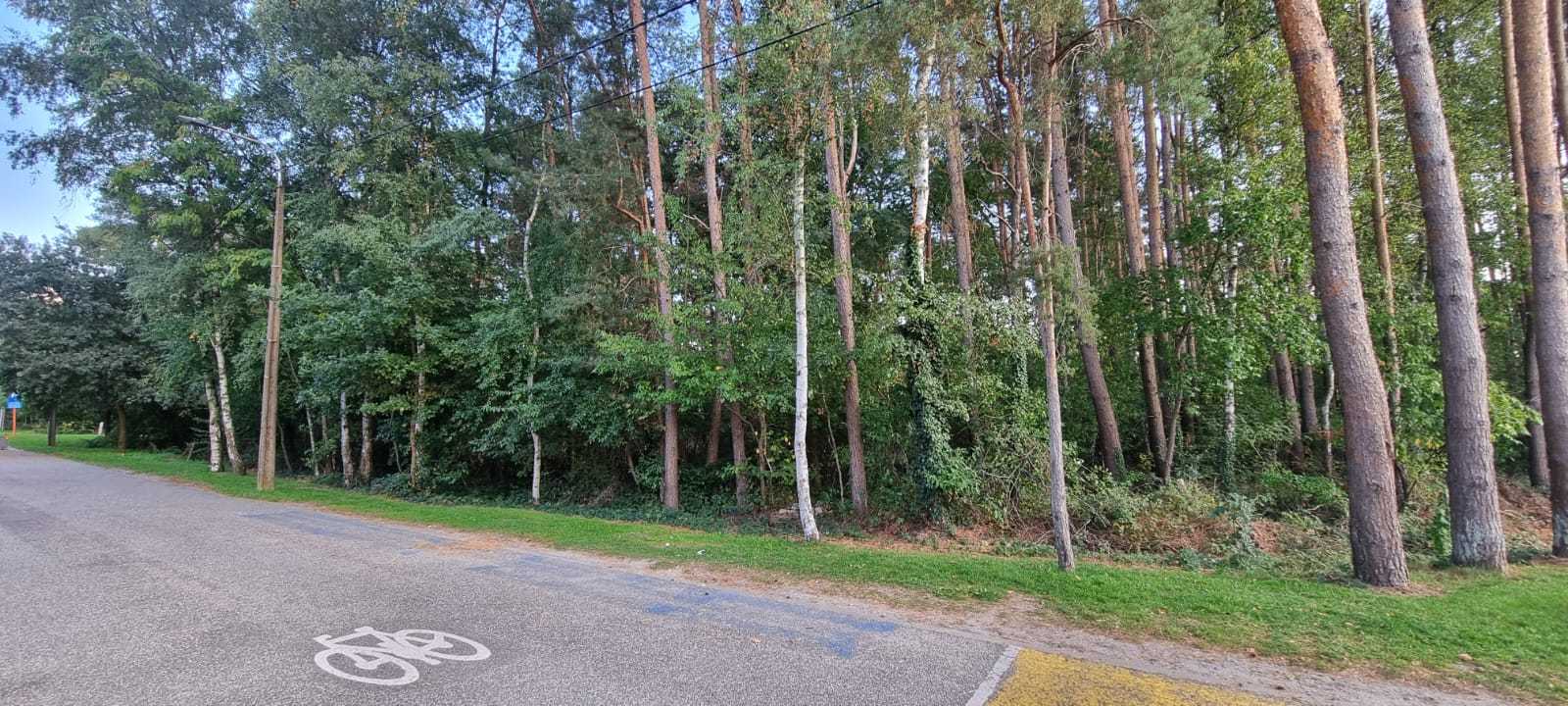 Land for sale in Balen - photo 1