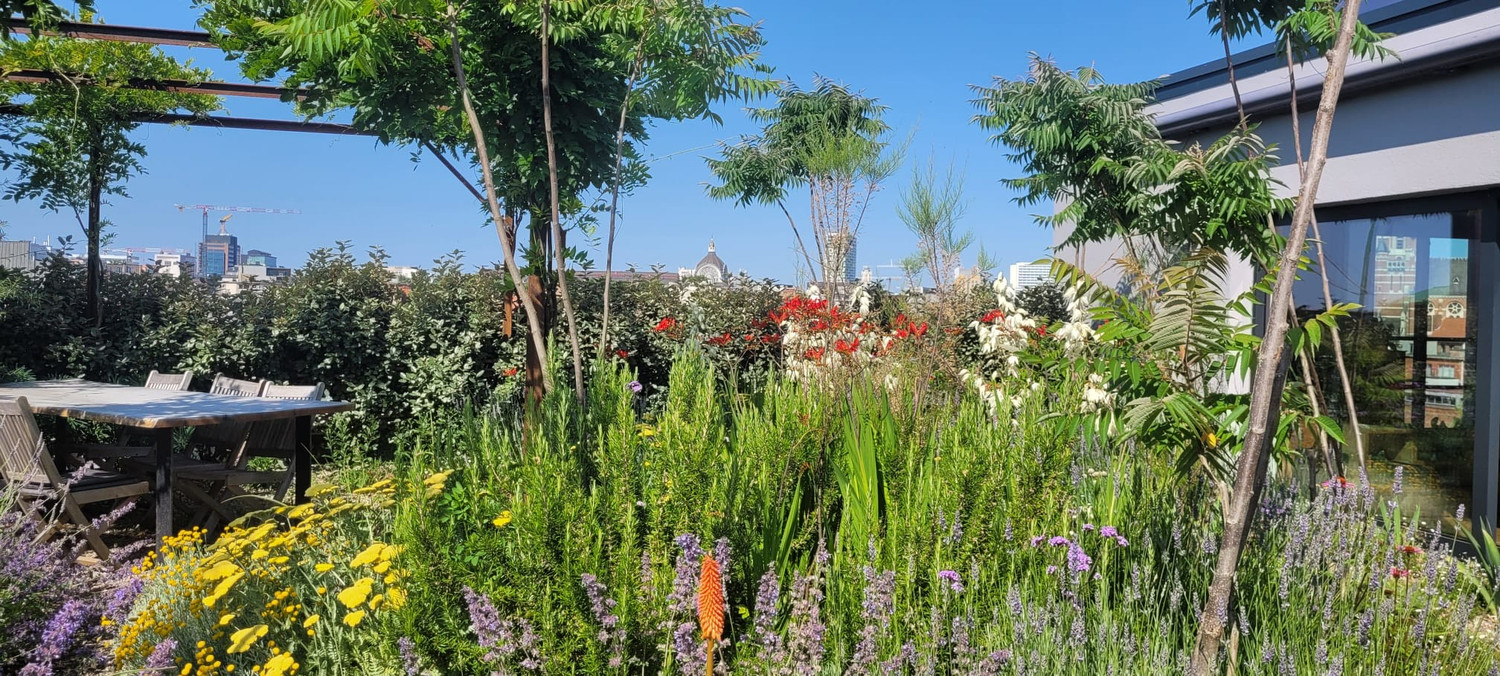 Uitzonderlijke loft 200m² + aangelegde daktuin, terras en 2 optionele garages in rustig, groen woonerf op de grens Borgerhout/Antwerpen - foto 1