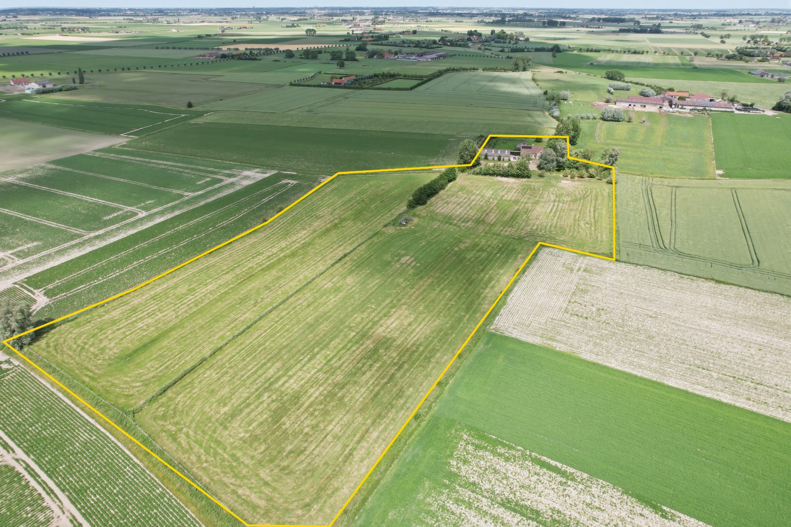Recente open bebouwing (2019) op een perceel van maar liefst 44.888 m² - foto 1