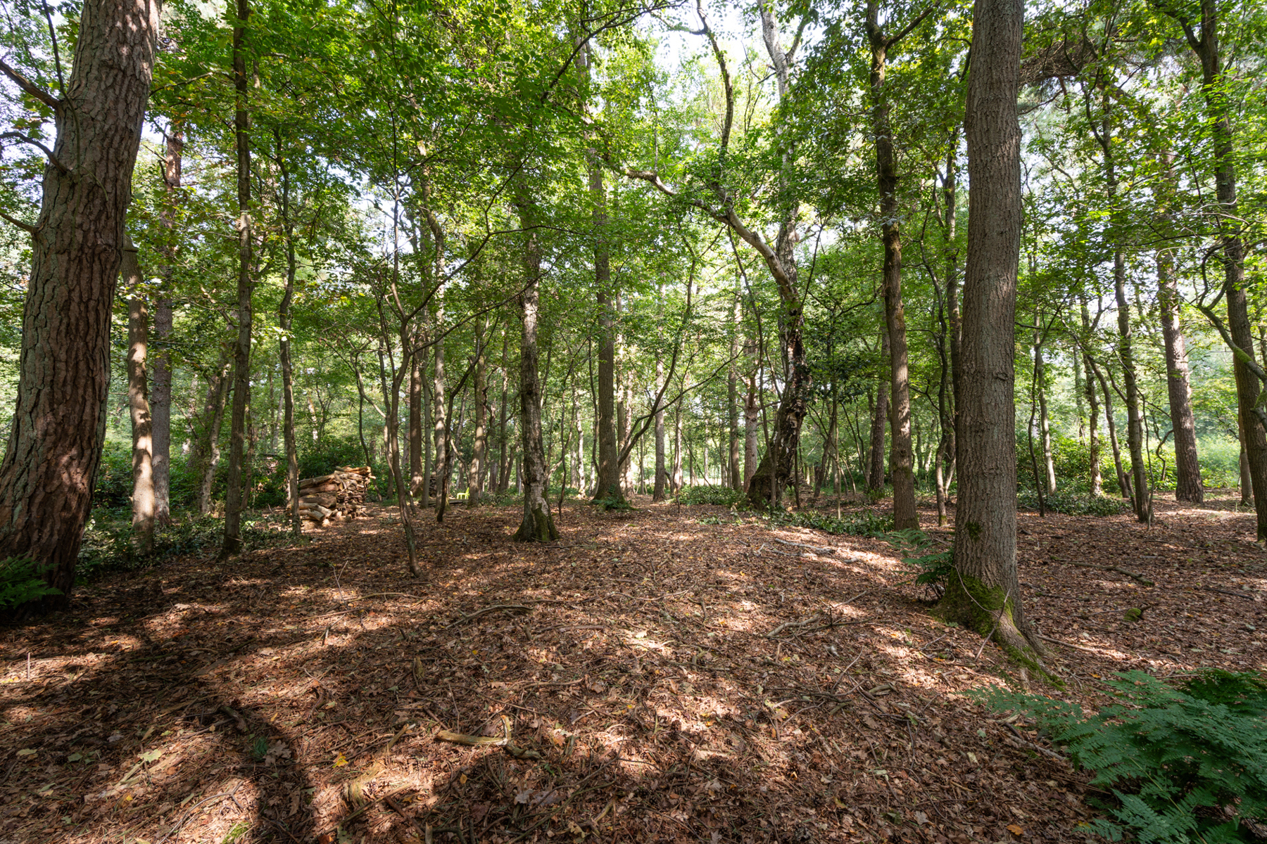 Terrain à vendre à Kapellen - photo 5