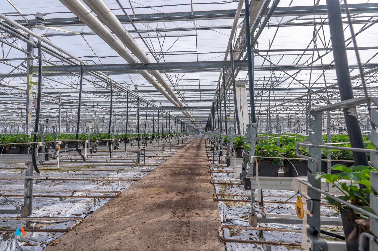 Serre met loods - foto 4