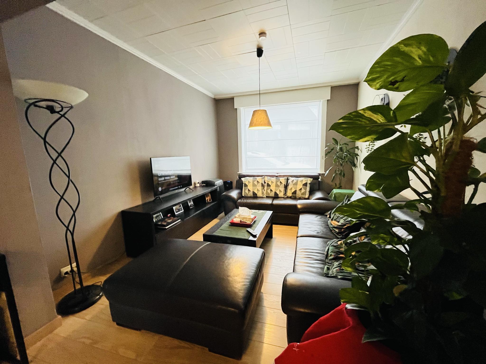 House for sale in Lauwe with 4 bedrooms - photo 5