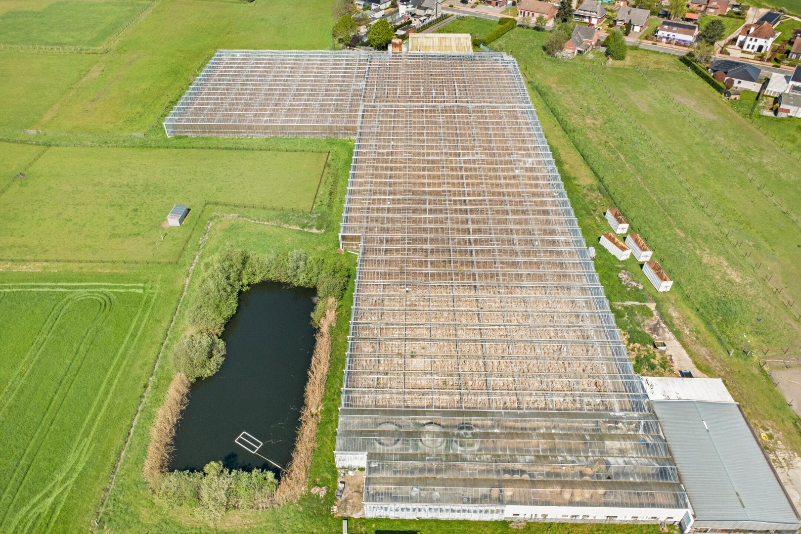 Serrecomplex met agrarische grond en magazijn - foto 2