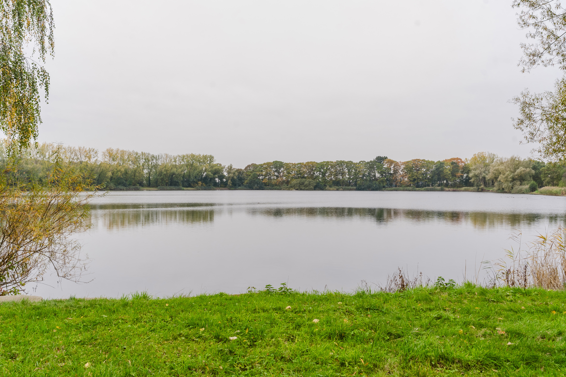 Statige villa aan prachtige vijver in het groene Zevergem. - foto 5