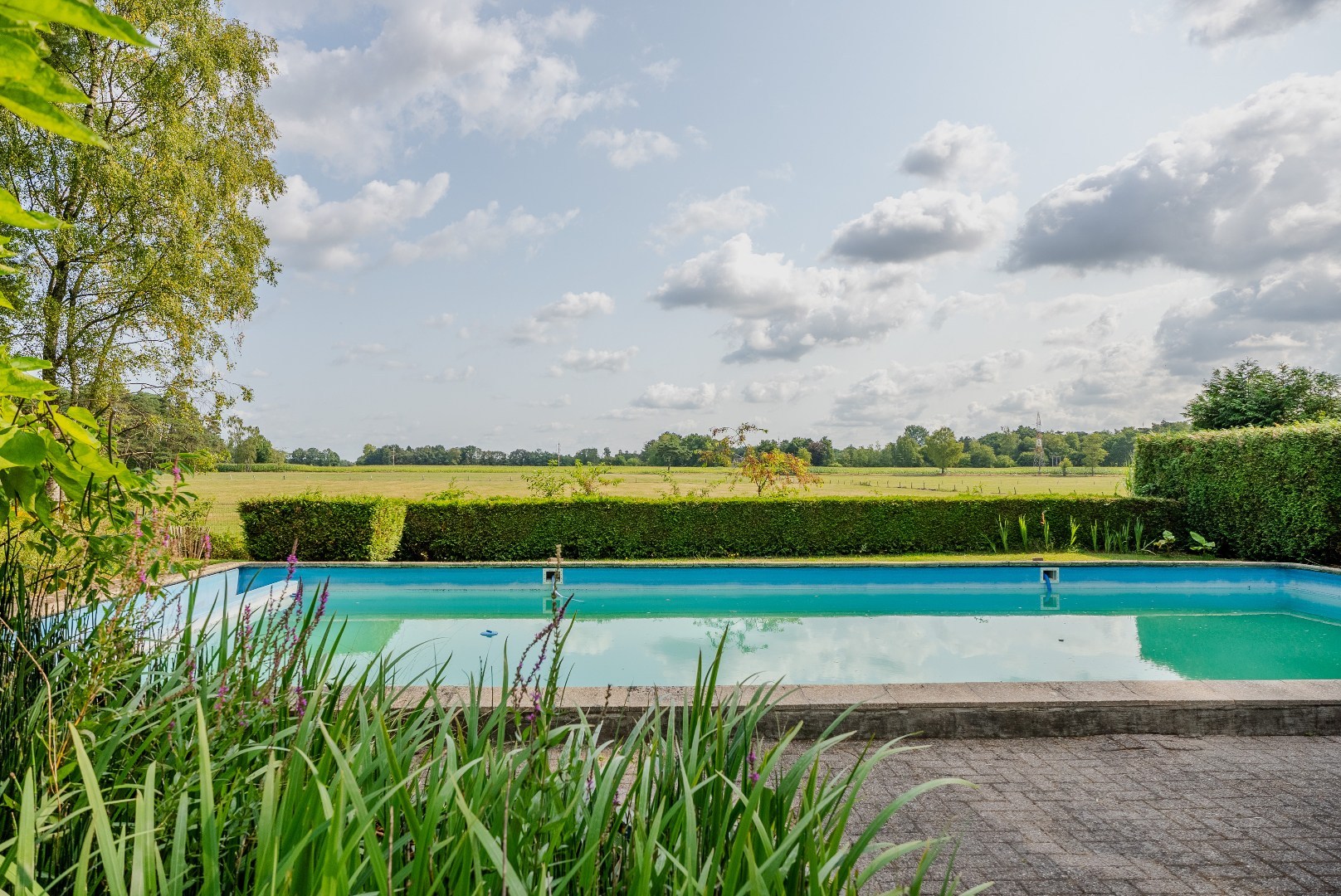 Villa met vergezicht en zwembad in Brasschaat - foto 5