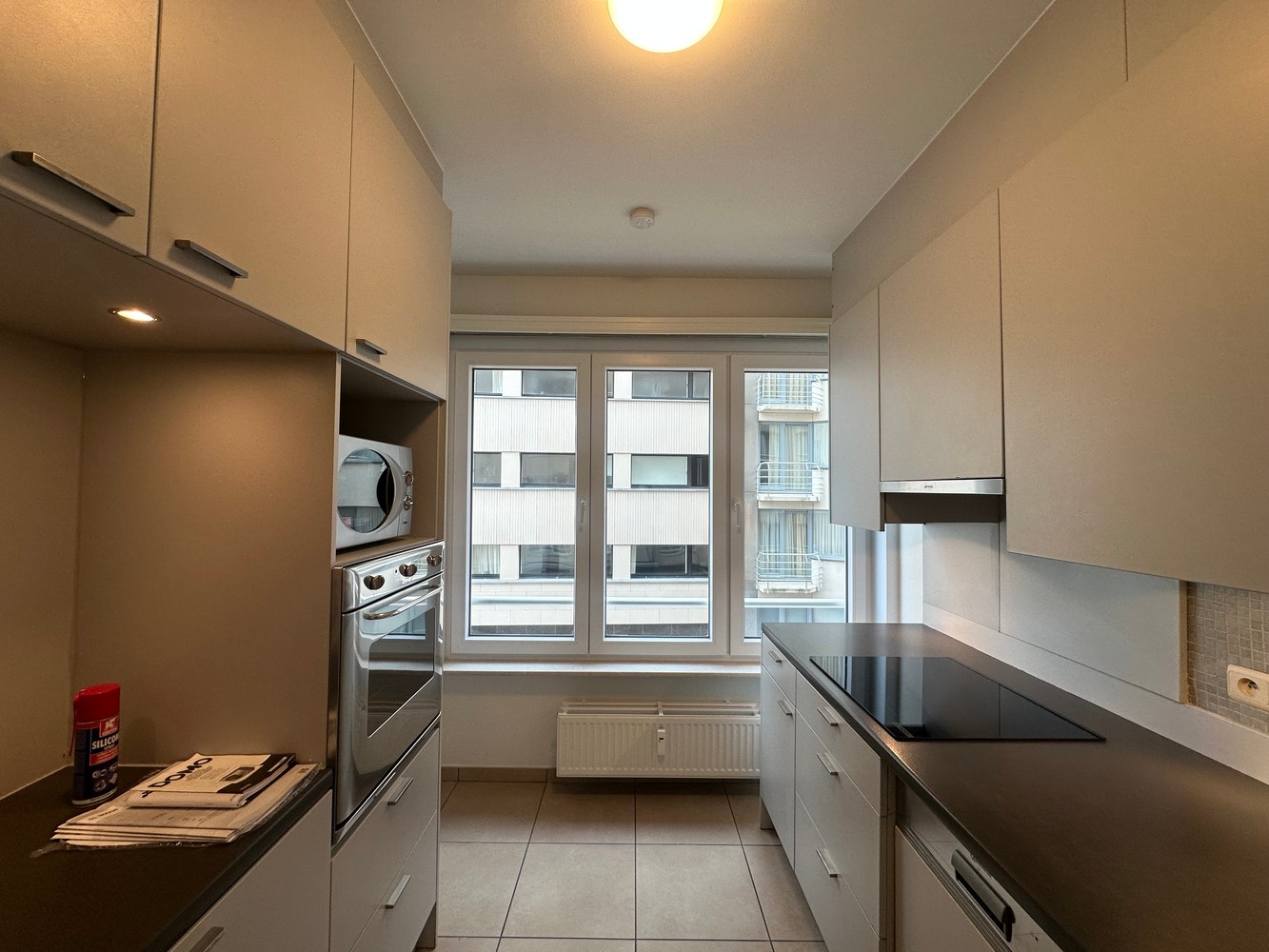 RESIDENTIE ERMITAGE - foto 5