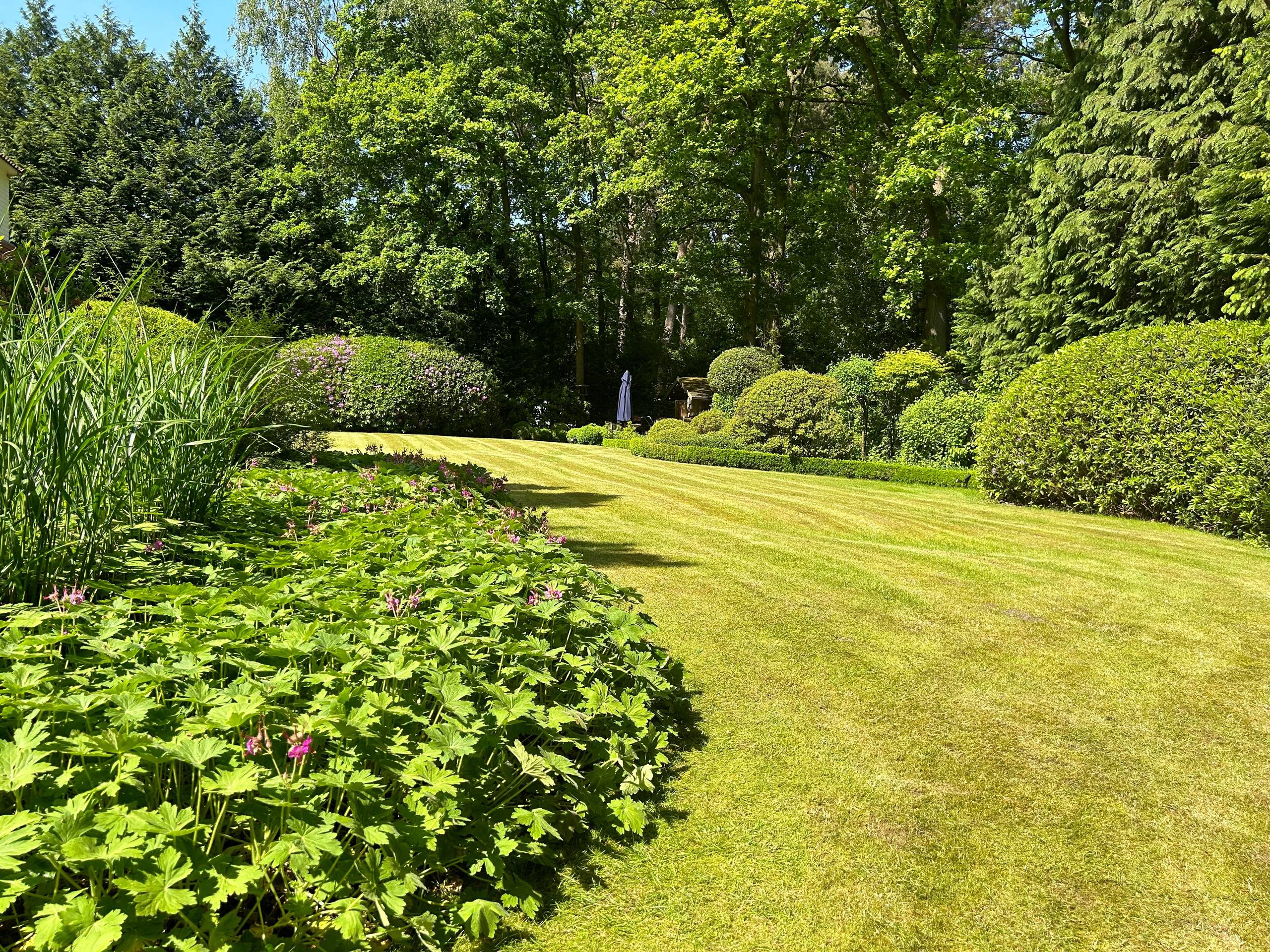 Huis te koop in 'S Gravenwezel met 5 slaapkamers - foto 5