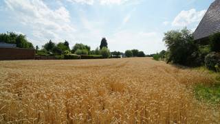 Rustig gelegen perceel bouwgrond van 6 are 10 ca voor half-open-bebouwing. <br />Zuid-west georiënteerd.<br />Perceelbreedte circa 11,9m vooraan en circa 12,5m achteraan<br />Perceelsdiepte: circa 50m.<br />Bouwbreedte: 9m maximum - bouwdiepte: 17m maximum op gelijkvloers en 12m maximum op verdieping.<br />Kroonlijsthoogte: 6,50m. <br />Geen bouwverplichting. <br />Opmetingskosten ten laste van kopers 1.800 euro.<br />Stedenbouw info: omgevingsvergunning verkaveling - woongebied - BPA K11 Koetsweg deel 2 en algemene bouwverordening Leuven - geen voorkooprecht ruimtelijke ordening - geen rechterlijke herstelmaatregel of bestuurlijke maatregel opgelegd - geen maatregelen in het Vlaams handhavingsplatform.<br />Niet overstromingsgevoelig - perceelscore A.