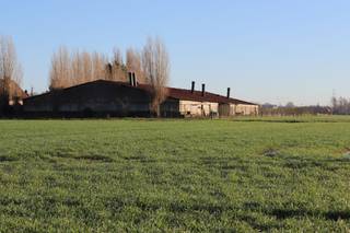 Voormalige pluimveestal (die was omgebouwd naar varkensstal) te koop te Tiegem.De stal is gelegen op een perceel van 3.422 m².De stal heeft een...