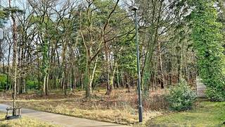<p>Op zoek naar een uitzonderlijke bouwgrond voor uw droomvilla in een groene en rustige omgeving?<br />Deze prachtige villagrond aan de <span><span>Lierse Steenweg</span></span> combineert een uitstekende bereikbaarheid met maximale privacy en een unieke natuurlijke ligging.</p>
<p>Achteraan geniet het perceel van een directe aansluiting op het prachtige natuurgebied <span><span>Konijnenbergen - Ter Duinen</span></span>. Bij de verkoop is bovendien een 1/3 aandeel in dit bijzondere bos- en duingebied inbegrepen. Het domein bestaat uit een harmonieuze mix van beboste zones en open landduinen, een zeldzaam overblijfsel van de historische stuifduinen langs de Grote en Kleine Nete.</p>
<p>Dankzij de gunstige ligging bent u verzekerd van een vlotte verbinding naar omliggende gemeenten en belangrijke invalswegen, terwijl u thuis volledig tot rust komt in een groene en residentiële omgeving.</p>
<p></p>
<p>Een unieke opportuniteit voor wie exclusief wil wonen midden in het groen, met natuur letterlijk in de achtertuin.</p>