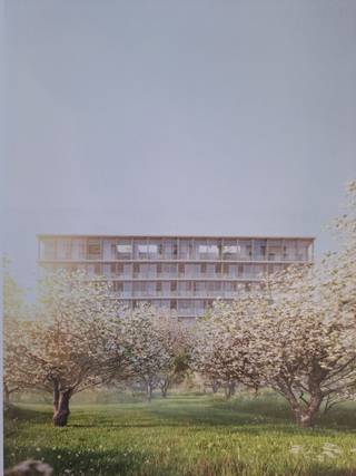Gelegen in het Nieuw Zuid bevindt zich deze studio met zicht op het toekomstig bomenpark.Zeer rustig gelegen.Op de eerste verdieping van dit nieuw...