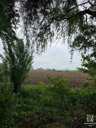 Deze mooie bouwgrond in Heule biedt de ideale locatie voor wie op zoek is naar een rustige en toch goed bereikbare woonplaats. Het perceel heeft...