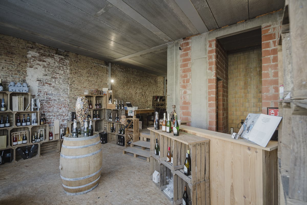 Opbrengsteigendom met handelspand en 2 appartementen te koop in Wevelgem - foto 2