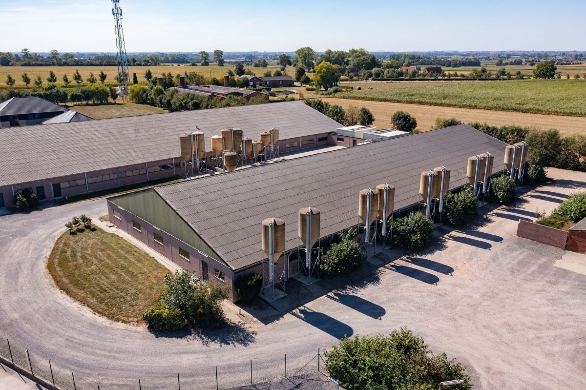 Modern varkensbedrijf te koop te Koekelare - foto 4