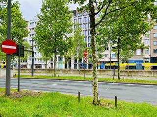 Bent u op zoek naar een zorgeloze investering in een studentenflat op een absolute topligging in Antwerpen? Lees dan zeker verder!Deze studentenkamer is gelegen in het gekende Campus Opera, op de Frankrijklei 41-43 in 2000 Antwerpen, pal in het centrum van de stad. Dankzij deze centrale ligging is de campus uiterst geliefd en geniet je van een vlotte bereikbaarheid en alle voorzieningen op wandelafstand.De kamer bevindt zich op de vierde verdieping, achteraan rechts in het gebouw (kamer 4-10). Het betreft een studeer- en slaapvertrek, uitgerust met bed, bureau, gordijnen en koelkast. Daarnaast beschikt de kamer over een eigen badkamer met lavabo, douche en toilet, wat zorgt voor extra comfort en privacy.Bij deze kamer hoort tevens het exclusief genot en gebruik van de fietsenberging, namelijk plaats 54 (boven).Verder geniet de student van gemeenschappelijk gebruik van:•meerdere keukens•een studeerruimte•een tuin•een kitchenette met microgolfovens per verdiepingHet gebouw wordt beheerd door een syndicus en een grote troef van deze investering is de gegarandeerde opbrengst tot en met 2032. Interesse in deze interessante studenteninvestering op toplocatie? Neem gerust contact met ons op voor meer informatie.