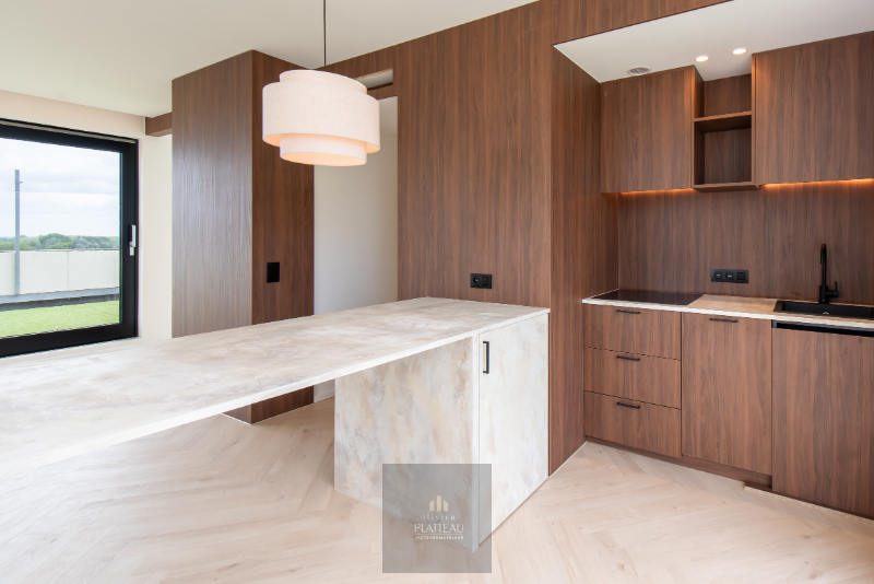 Appartement rénové avec très grande terrasse sur le toit. - photo 5