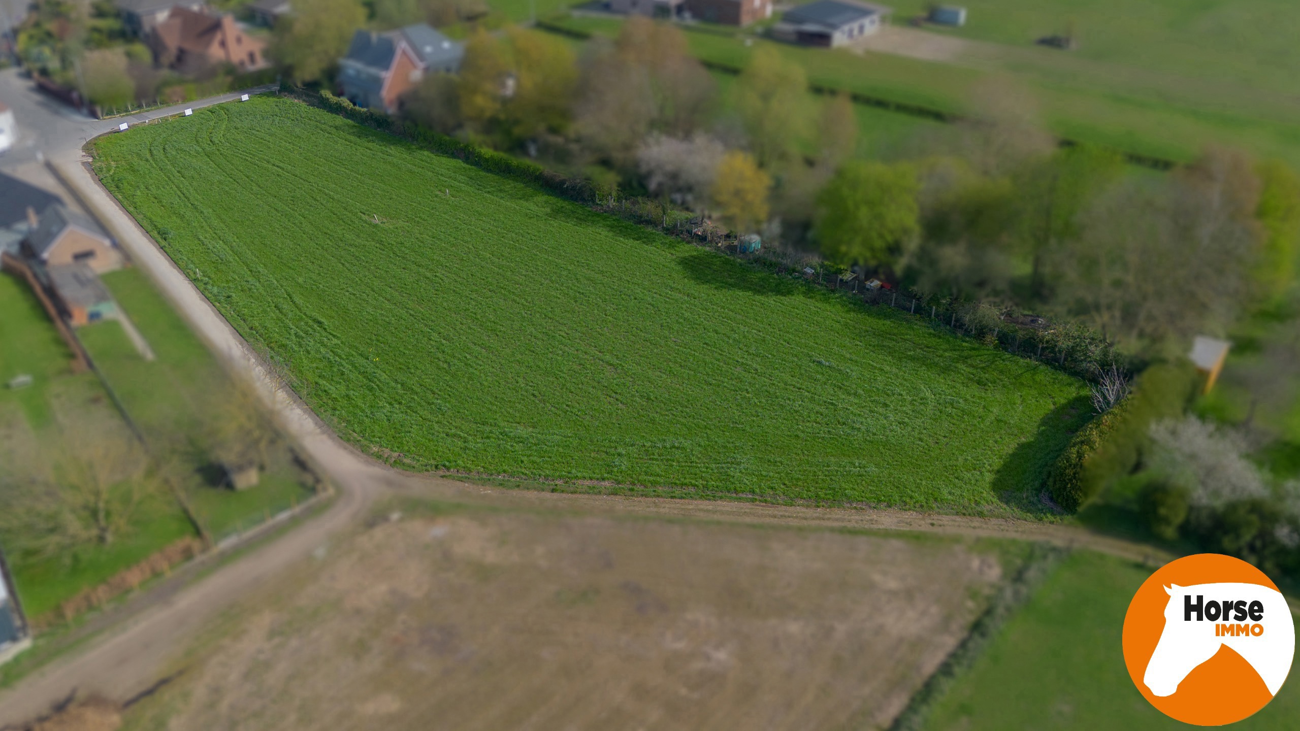 NIEUWERKERKEN - Uniek gelegen bouwgrond op 42a voor OB - foto 5