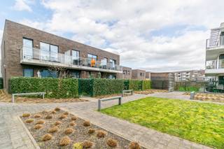 Een goed onderhouden, instapklaar appartement (ideaal als starterswoning of investering!) met oa. 1 slaapkamer, een aangenaam terras, binnenstaanplaats en kelder, welgelegen nabij openbaar vervoer en centrum te Halle (Nederhem)! Bestaande uit: Op de eerste verdieping: inkom met vestiaire, berging (met aansluitingen DK + WM), apart toilet, badkamer (douche, lavabo met meubel, handdoekdroger), leefruimte/eetplaats (23.40m²) met open en volledig ingerichte keuken (kookplaat, dampkap, oven, verlek, koelkast, vaatwasser), slaapkamer (11.02m²), aangenaam terras (8.77m²) - zuid gericht, doorlopend over de volledige breedte van het appartement). Verder: ondergrondse binnenstaanplaats, kelder, binnenplein, park nabij. Buitenschrijnwerk ALU dubbel glas - Individuele centrale verwarming op aardgas. EPC: 72 kWh/m² - UC: 23027-G-BH/2015/060/EP12962/A001/D01SD009 - label: A - Elektrische installatie volledig conform tot 30/09/2043! - Bruto bewoonbare oppervlakte: 53m² (app) - kadastraal inkomen (NG): 619 EUR - Momenteel verhuurd -<br />Nutsvoorzieningen: individuele tellers water, gas en elektriciteit. Geen lift in het gebouw - Gemeenschappelijke lasten: +- 56 EUR/maand. Stedenbouwkundige inlichtingen aanwezig: Vg/Igb/Gmo/VKr/Vv. Meer inlichtingen op : www.steenkoolstraat2-1.2.be !