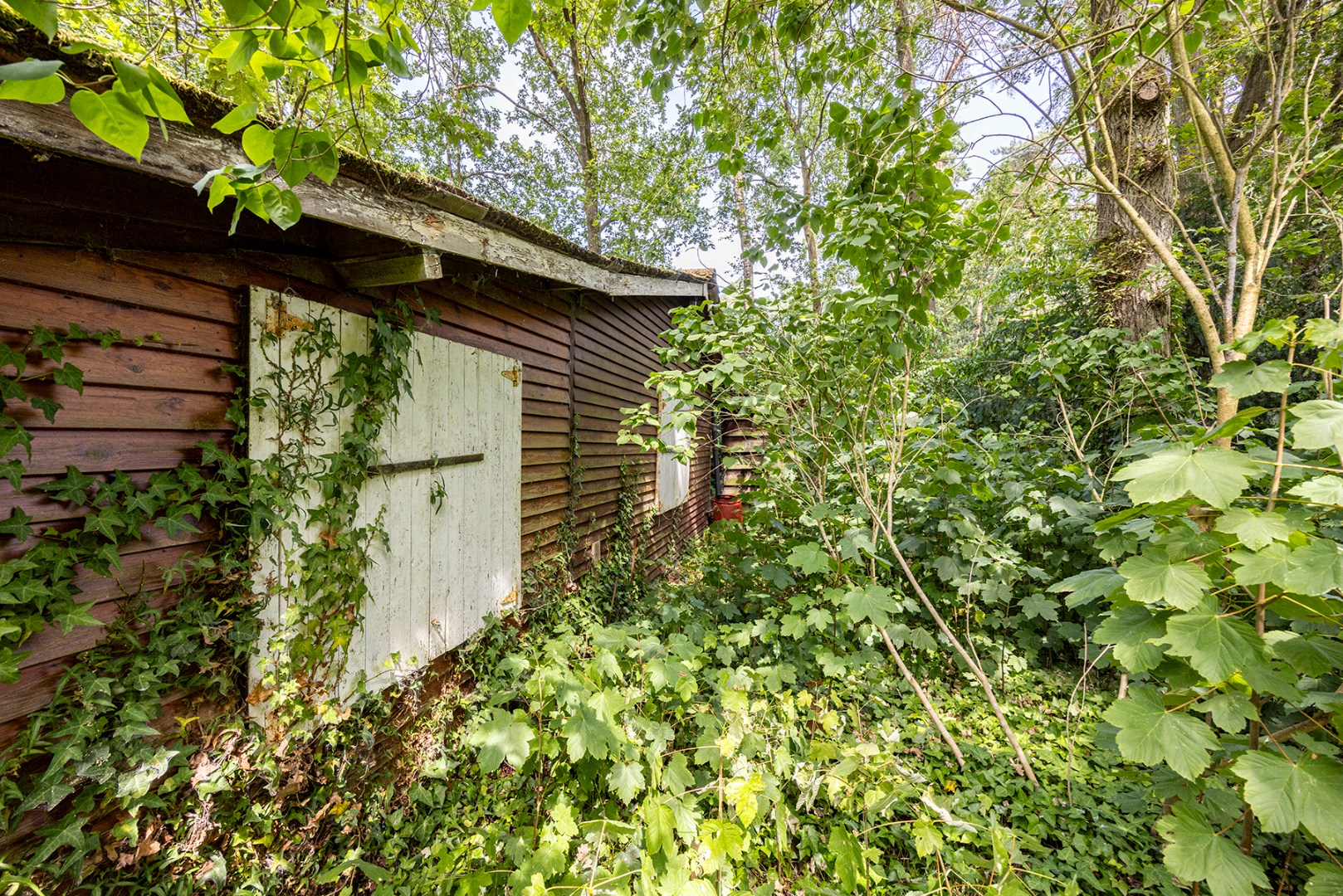 Bouwgrond te koop in het Kotsbos - foto 5