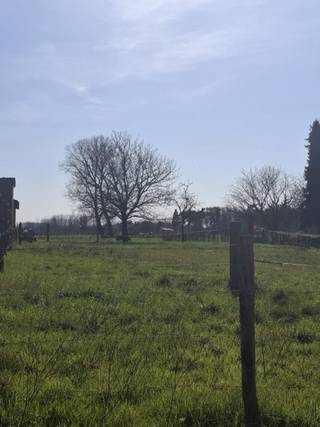 Terrain à vendre à Berlare
