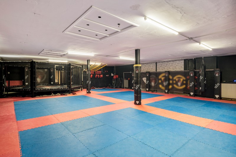 Gelijkvloers opbrengsteigendom op toplocatie in Deurne - foto 2