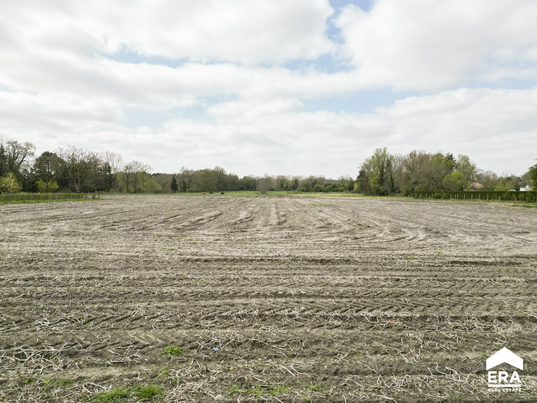Terrain à vendre à Peer - photo 3