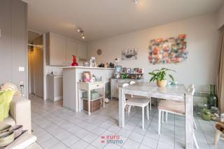 Deze ruime studio met twee slaaphoeken is gelegen in de brede Franslaan van Nieuwpoort-Bad, een centrale en gegeerde ligging op wandelafstand van...