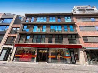 <p><span>OPEN DOOR Sat. 30/5 This welcoming 1-bedroom apartment is available for viewing on Saturday, May 30, between 4 p.m. and 5 p.m. with no obligation. You are most welcome! Located in the bustling Diestsestraat, in the heart of Leuven, this well-located apartment is in an absolute prime location. You live here in the middle of the city, within walking distance of numerous stores, restaurants and cozy cafes, as well as near the Leuven train station. Thanks to the easy access to all major roads, you also enjoy excellent accessibility. The apartment is tastefully finished and offers a pleasant combination of comfort and cosiness. The bright living space connects to a practical kitchen, while the bathroom is equipped with all the necessary comforts. The bedroom provides a quiet place to fully unwind. This apartment is available immediately. Utilities can be concluded separately. Monthly fixed costs are 50.00. Separate storage room and bicycle storage included. Ideal for those looking for comfortable living in a lively and central location in Leuven.</span></p>