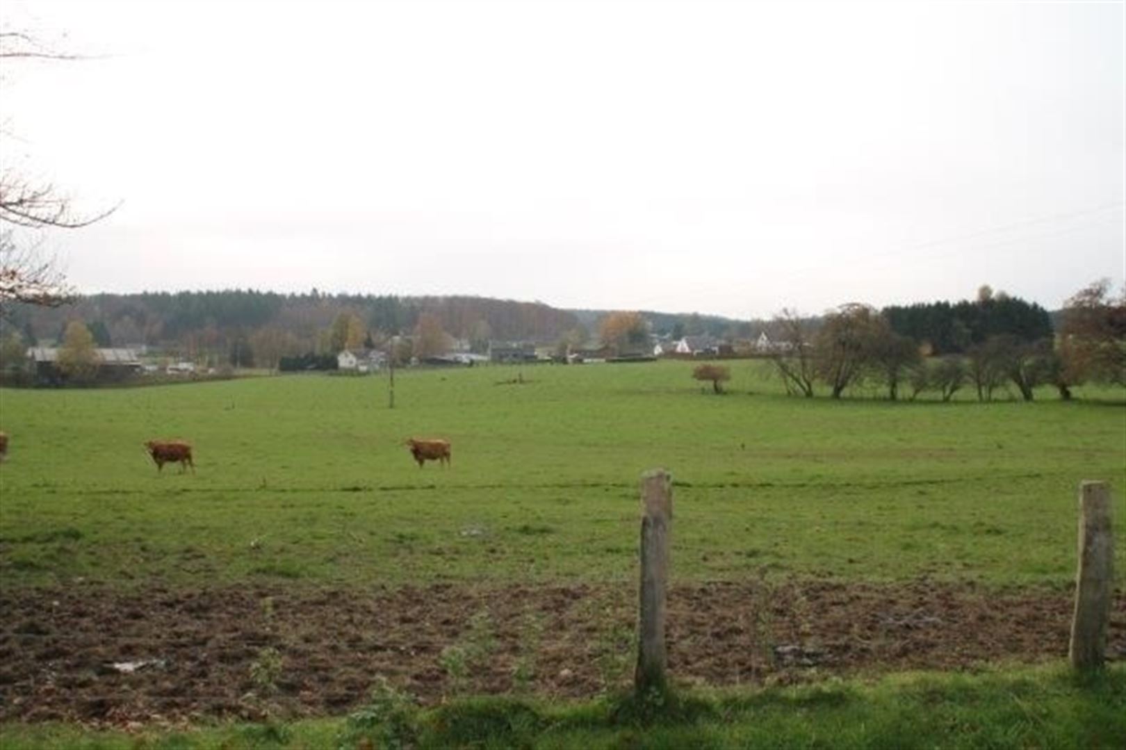 Terrain à vendre à Paliseul - photo 3