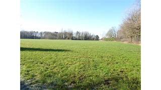 <p>Perceel landbouwgrond met een oppervlakte van 20.252 m2 gelegen in agrarisch gebied.</p><p>agrarisch gebied, geen voorkooprecht, geen dagvaarding, geen verkaveling.</p>