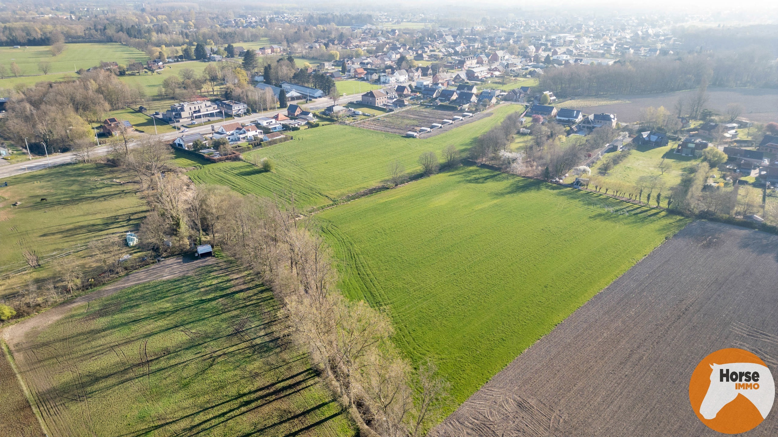 HASSELT-Mooi perceel bouwgrond voor open bebouwing en weide - foto 4