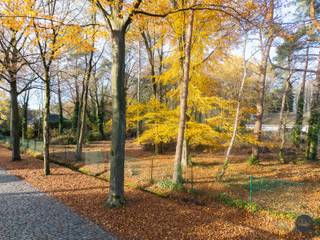Langs de Sint-Jobsesteenweg in Brasschaat, in een omgeving die gekenmerkt wordt door statige villawijken, volwassen groen en residentiële...