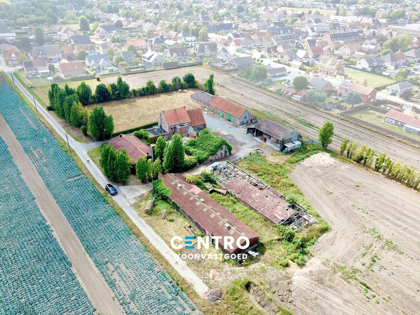 Te renoveren hoeve op circa 1 ha op GOEDE ligging! - foto 5