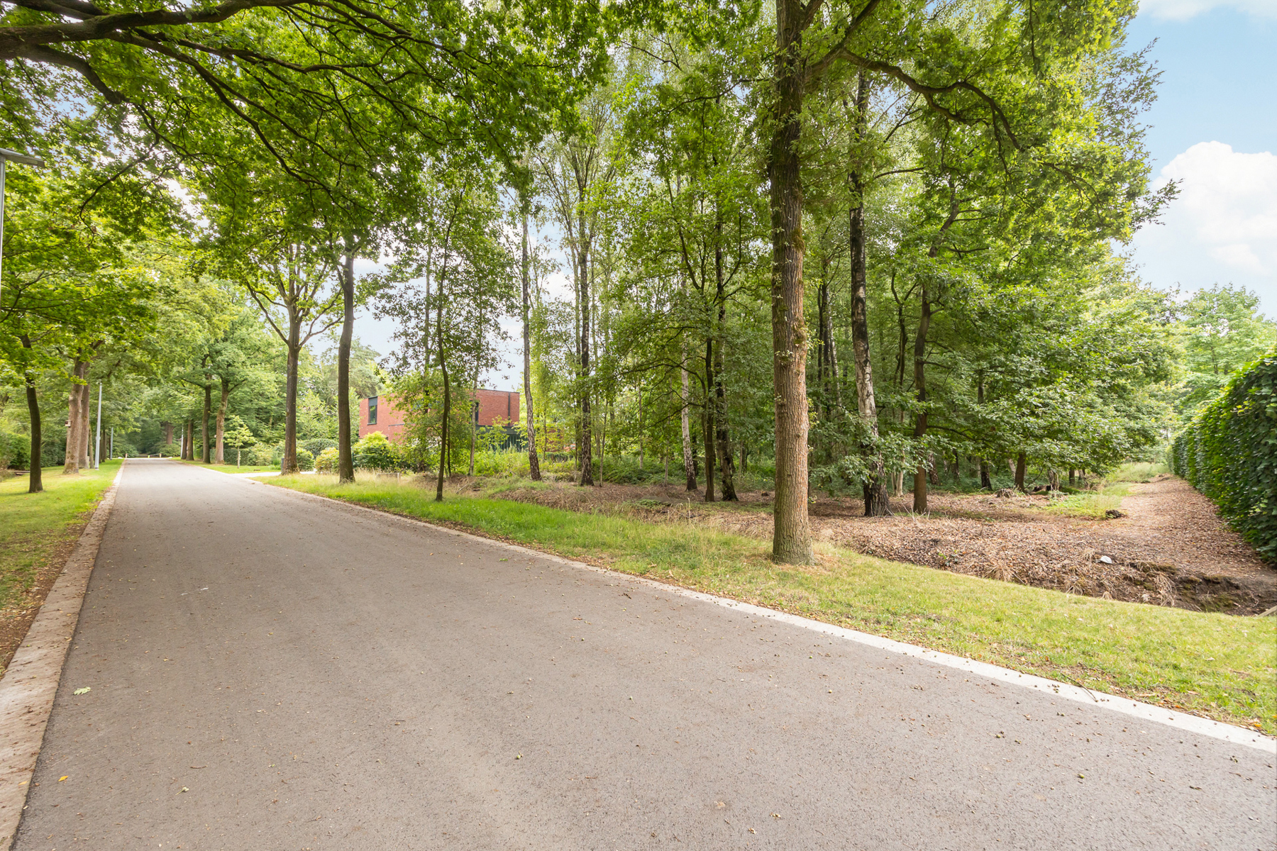 Land for sale in Merksplas - photo 3