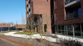 <p>Op zoek naar een comfortabel leven in uw gouden jaren? Ontdek Residentie Vivasse! Nabij het bruisende centrum van Asse bieden onze assistentiewoningen alles wat u nodig heeft, inclusief knusse flats en gemeenschappelijke ruimtes zoals een restaurant, schoonheidssalon en fitnessruimte. Voor degenen die zich zorgen maken over parkeren, zijn er overdekte autostaanplaatsen, kelders en een fietsenstalling beschikbaar. Minimumleeftijd om in Vivasse te wonen is 65 jaar. Beschikbare appartementen variëren in grootte en faciliteiten, inclusief Type 1 met een oppervlakte tussen 70-78m² en Type 3 met 50-64m². Autostaanplaatsen en kelders zijn optioneel. Dagelijkse vergoeding voor basisdienstverlening: €19,01 per dag voor één persoon en €6,13 voor een tweede persoon. Direct beschikbare appartementen, enkel schilderwerken en decoratie moeten nog worden uitgevoerd. Bezoek www.living-stone.be voor meer informatie.</p>