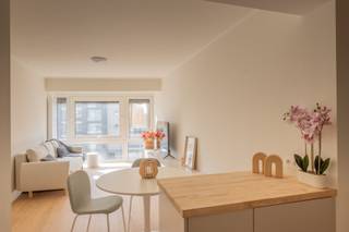 Knap vernieuwde studio met een sublieme oriëntatie richting het zuiden. Naast de zon kunt u ook genieten van mooie open zichten vanuit de leefruimte. Deze studio bevindt zich net achter de Zeedijk. De inkom van het gebouw bevindt zich op de Zeedijk waardoor u bij het buitenwandelen meteen kunt genieten van de zee. Een leuke combinatie van zon, zee en strand.<br /><br />De studio werd recent volledig vernieuwd en is vrij bij akte.<br />Zo kunt u op korte termijn genieten van uw eigen stek aan zee, of genieten van de opbrengsten van deze interessante investering.<br /><br />Indeling: inkom, een mooie open keuken met een eetplaats die voorzien is van een moderne zitbank, een knusse tv-ruimte met open zichten naar buiten en als laatste nog een badkamer met inloopdouche &amp; toilet.<br /><br />Bezoeken of meer informatie?<br />Contacteer Sacha Vanrafelghem op GSM 0487/43.79.10.