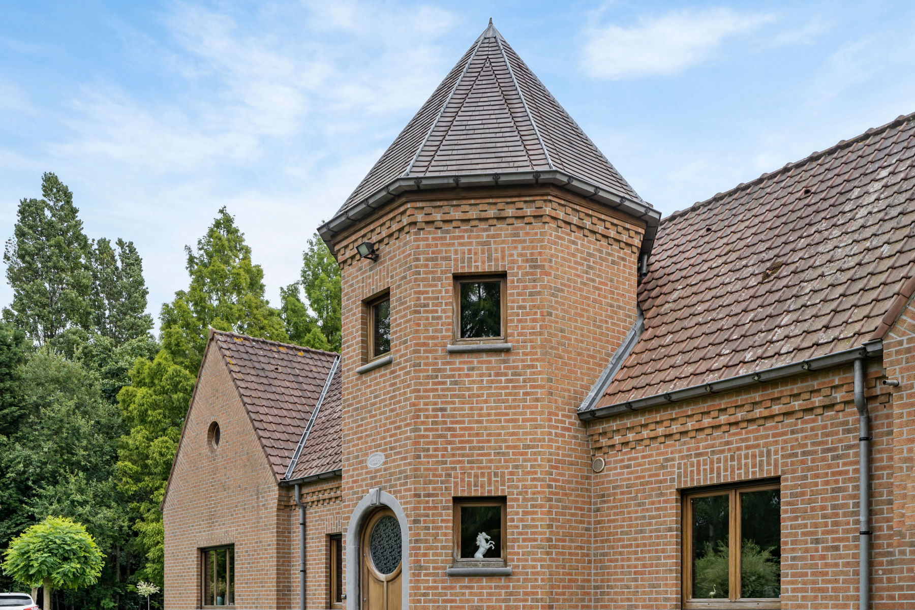 Uitzonderlijk ruime villa met mogelijkheid vrij beroep - foto 1