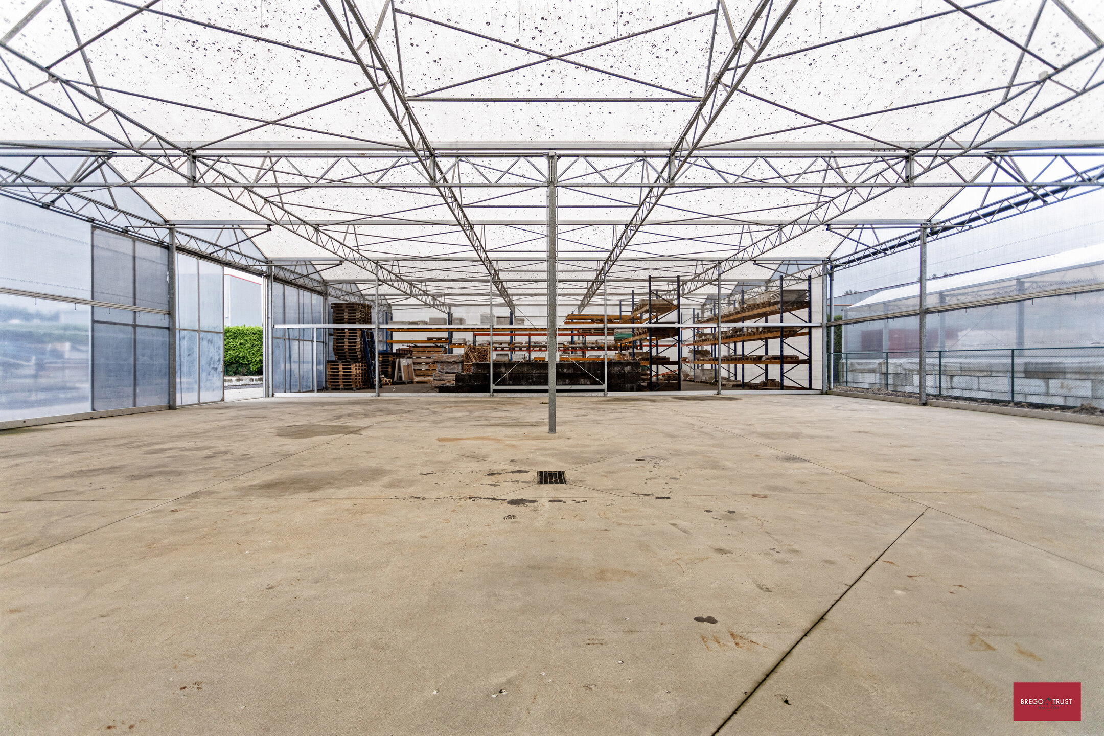 Serre (400m²) in Hoogstraten - foto 4