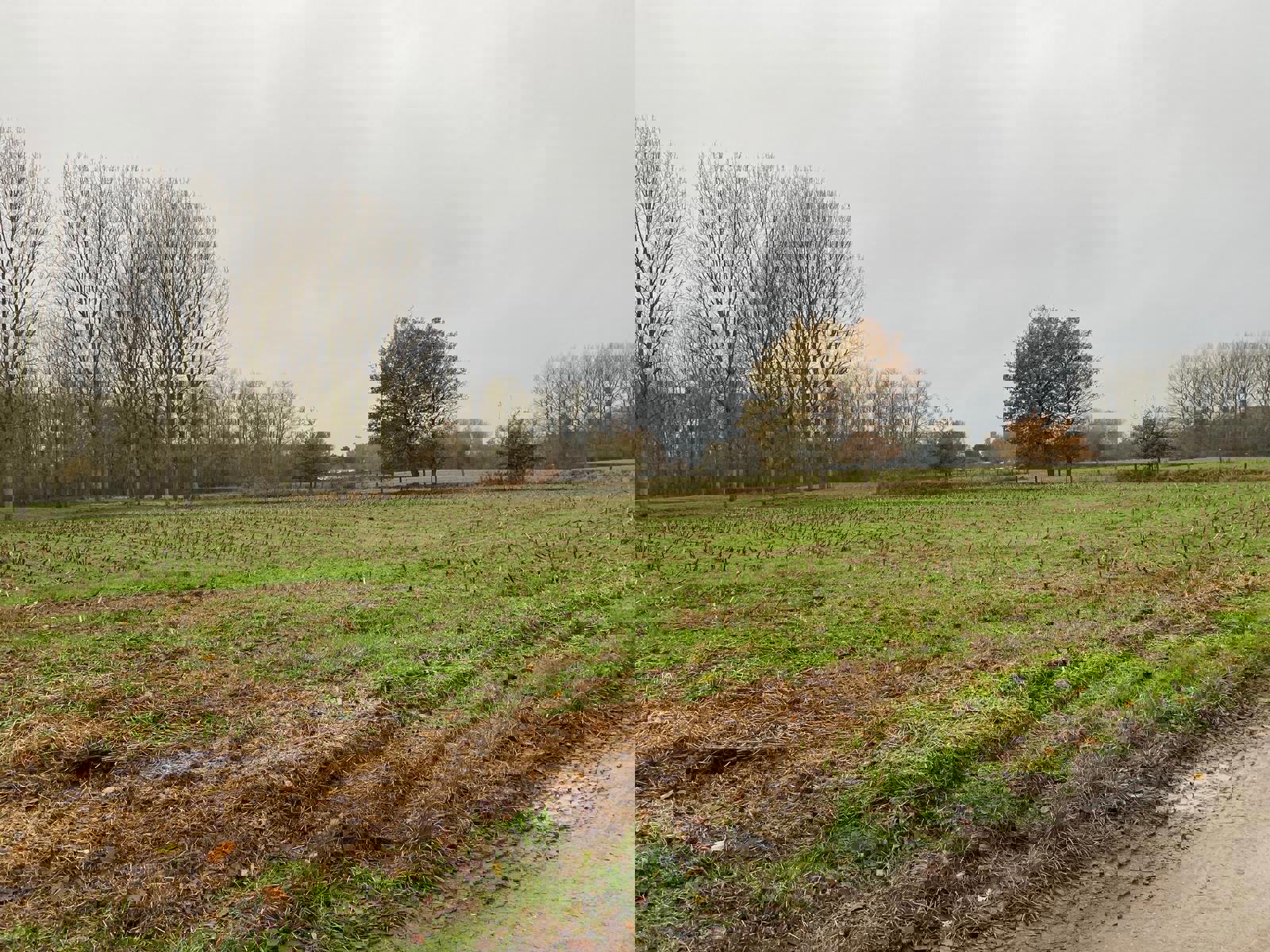 Project for sale in Uitbergen - photo 5