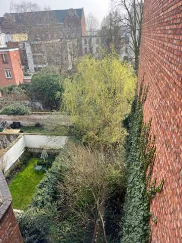 Appartement te huur in Borgerhout met 2 slaapkamers - foto 4