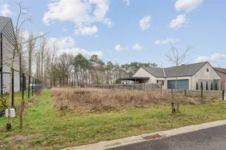 Terrain à vendre à Tessenderlo-Ham