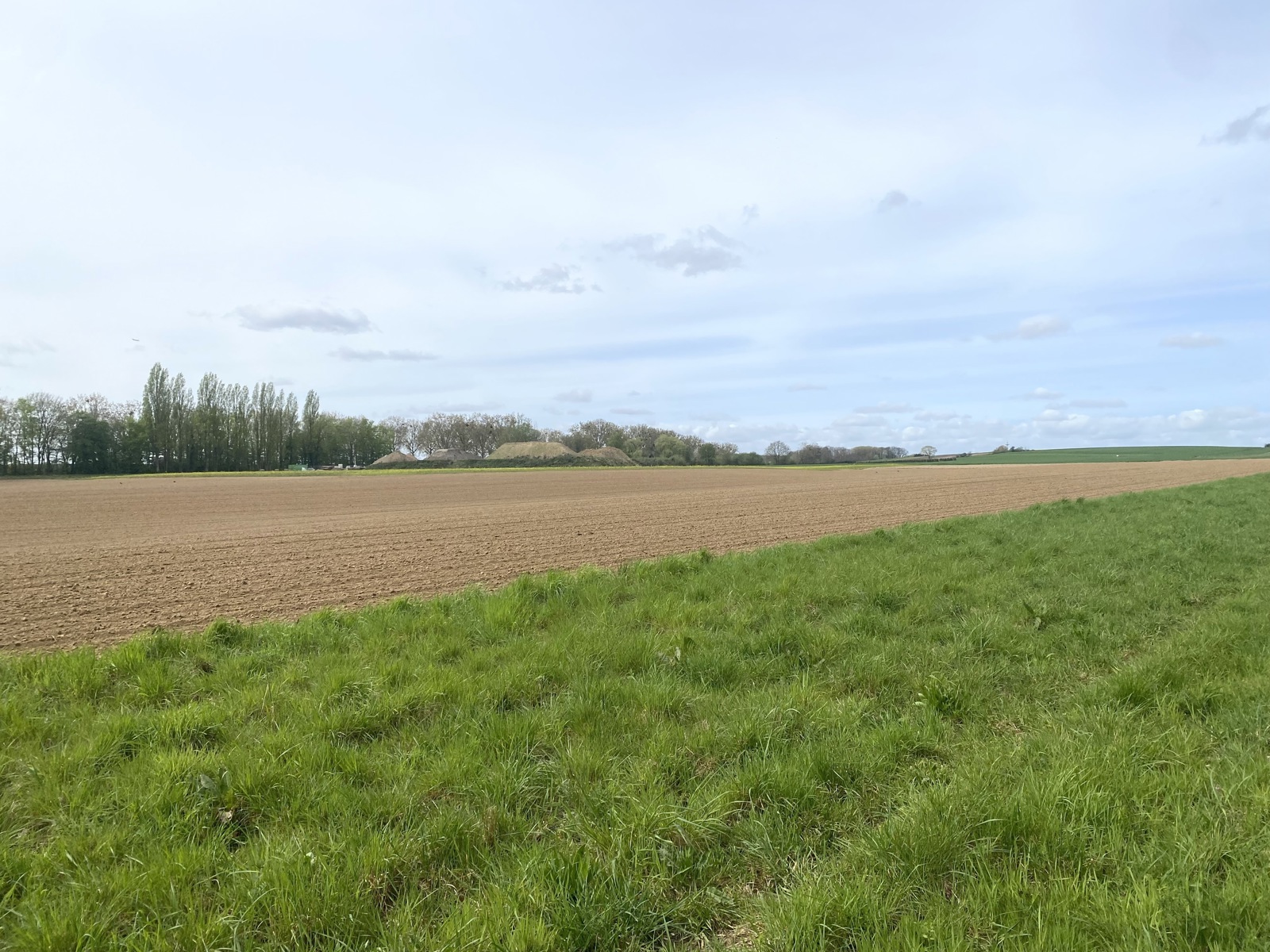 Grond te koop in Bertem - foto 5