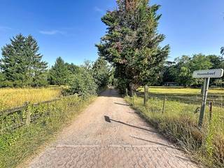 Deze grond is rustig gelegen aan de Hazendreef en biedt een oppervlakte van ca. 1.010 m², met een perceelbreedte van ca. 21 m en een diepte van ca. 48 m.<br /><br />NB: voor dit perceel dient kosteloze grondafstand aan gemeente Wuustwezel nog te gebeuren.<br /><br />Het perceel is gelegen in landschappelijk waardevol agrarisch gebied. Dit betreft geen bouwgrond.<br /><br />Interesse in dit perceel?<br />Neem gerust contact met ons op voor meer informatie via veerle.pierar@dewaele.com of via 03/369.42.50.<br /><br />(Ver-)kopen of (ver-)huren in de Noorderkempen?<br />Voor al uw vastgoedvragen staan wij klaar om u te begeleiden!<br />Dewaele Vastgoed<br /><br />Bestuursmaatregelen in het maatregelenregister: nee