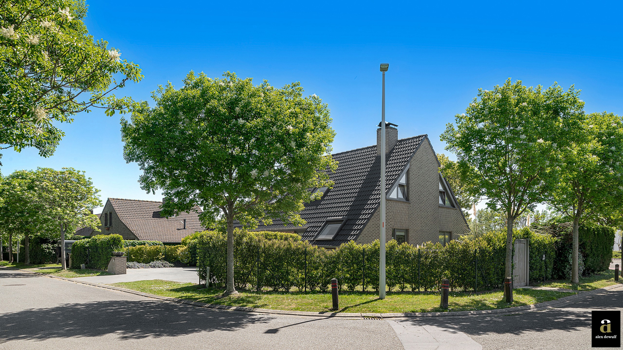Alleenstaande villa op zonnig hoekperceel [Asterstraat]. - foto 5