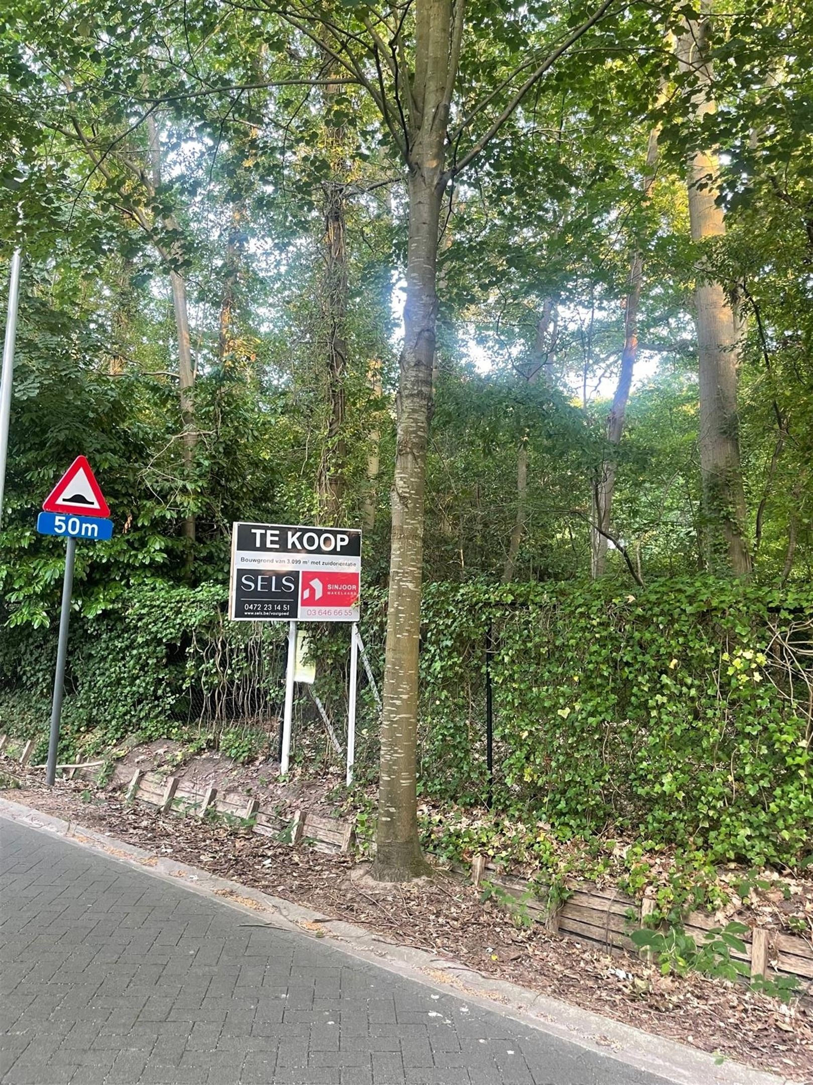 Exclusieve villagrond van ca. 3.099 m² op toplocatie in Schotenhof - foto 5