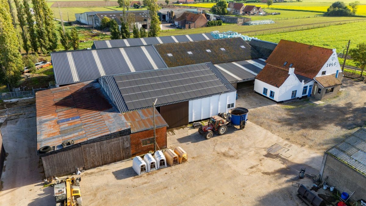 Melkveebedrijf te koop te Poperinge - photo 4
